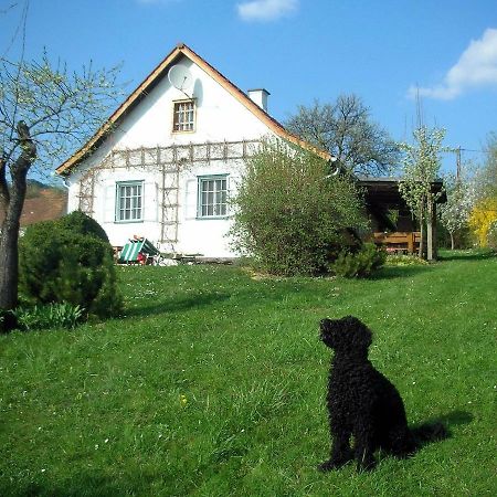 Villa Beim Schachnerhaus à Pöllauberg Extérieur photo
