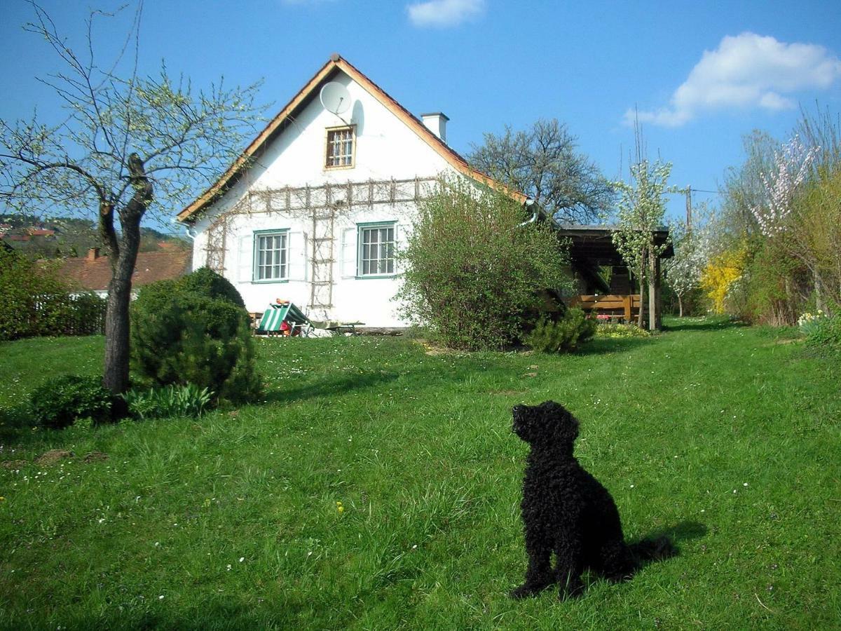 Villa Beim Schachnerhaus à Pöllauberg Extérieur photo